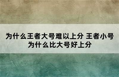 为什么王者大号难以上分 王者小号为什么比大号好上分